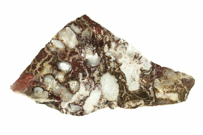 Polished Wild Horse Magnesite Slice - Arizona #264038